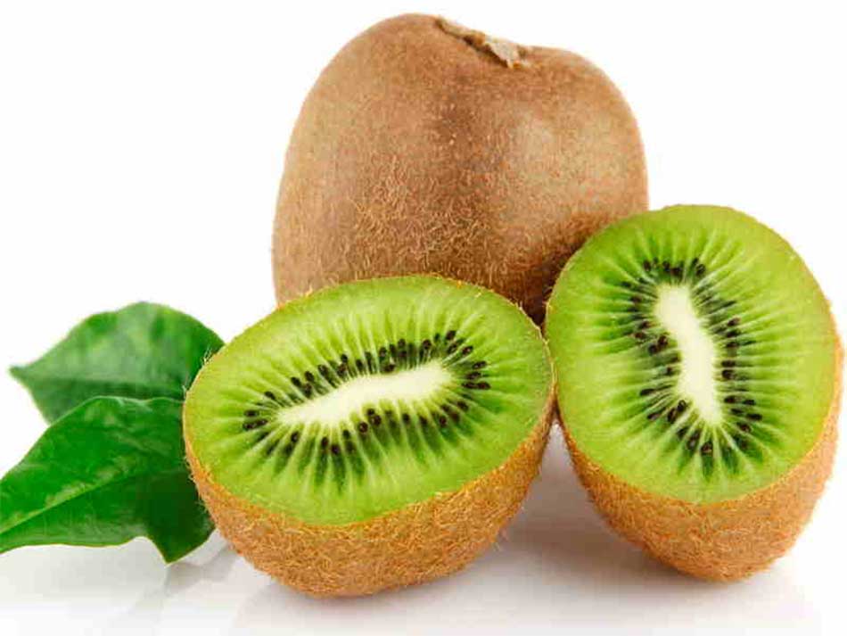 Loyal Kiwi Electric Kiwi edu.svet.gob.gt