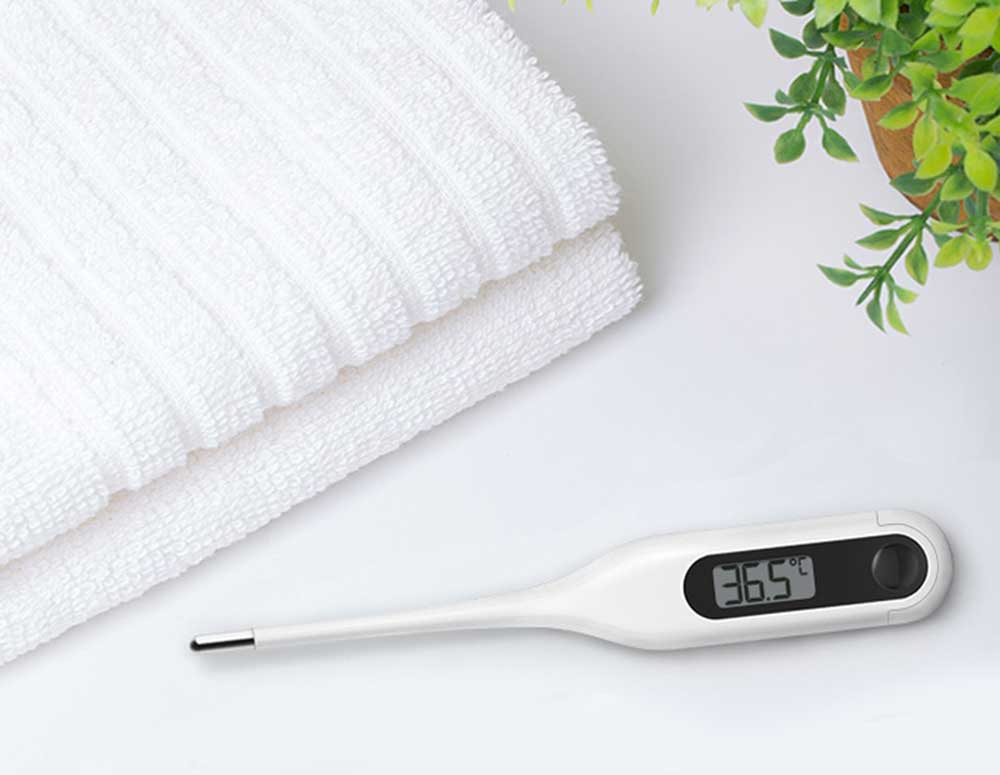 Xiaomi-Mijia-LCD-digital-electric-thermo