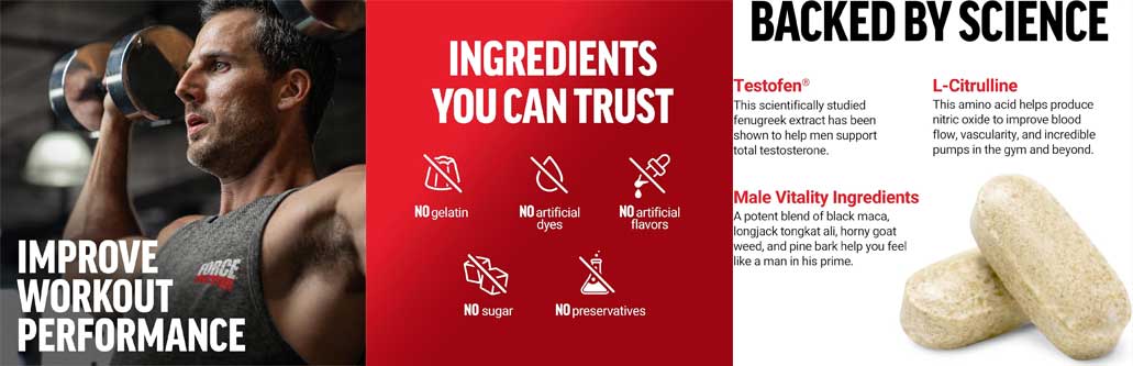 Force-Factor-Test-X180-Alpha-V2-Testosterone-Booster.jpg?1732951737163