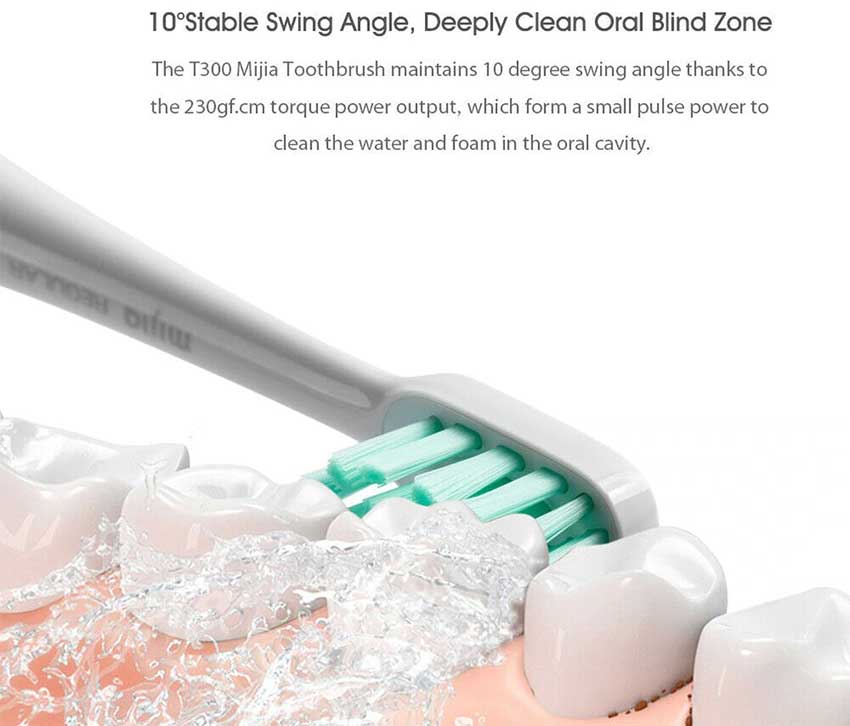 Mi-Electric-Toothbrush-bd.jpg2.jpg?16029