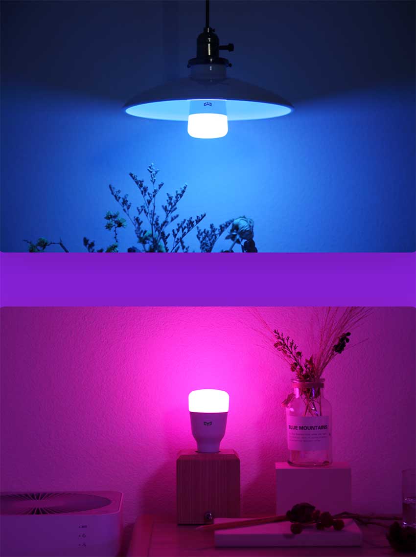 Xiaomi-Yeelight-Smart-Bulb-bd.jpg5.jpg?1