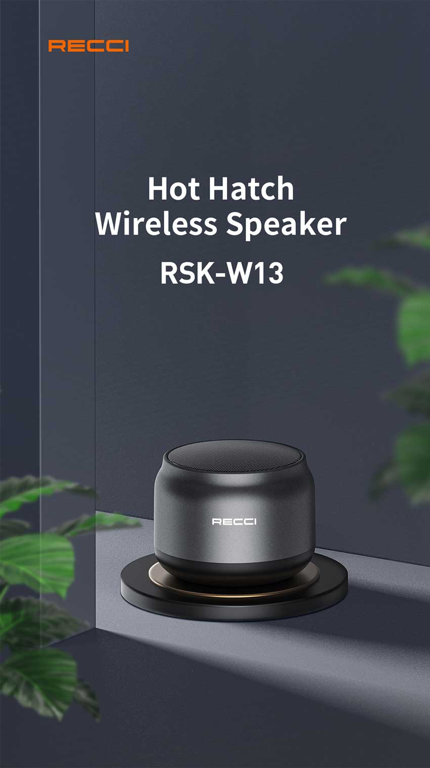 Recci-RSK-W13-Hot-Hatch-Wireless-BT-Speaker_4.jpg?1681547179385