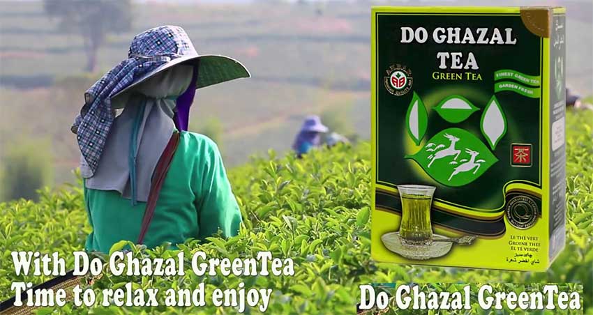 Green-Tea-Bd.jpg?1598855921590