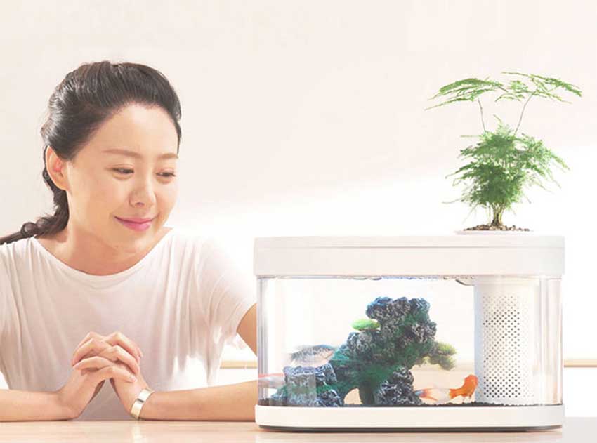 Mijia-HFJH-Geometry-Aquarium-Small-Water
