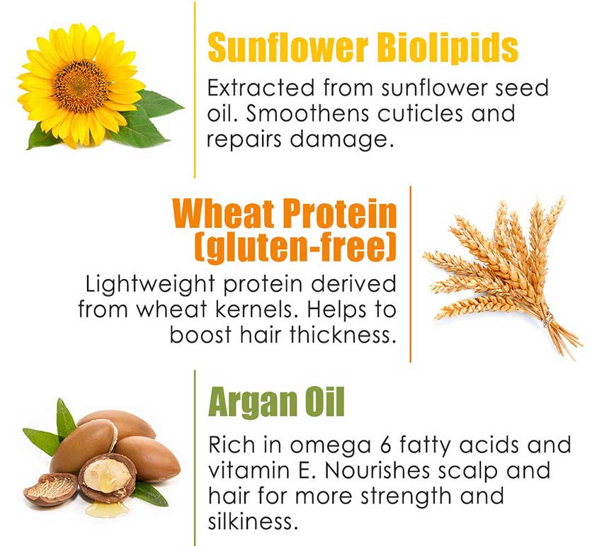 WOW-Skin-Science-with-Black-Spruce-Bark-