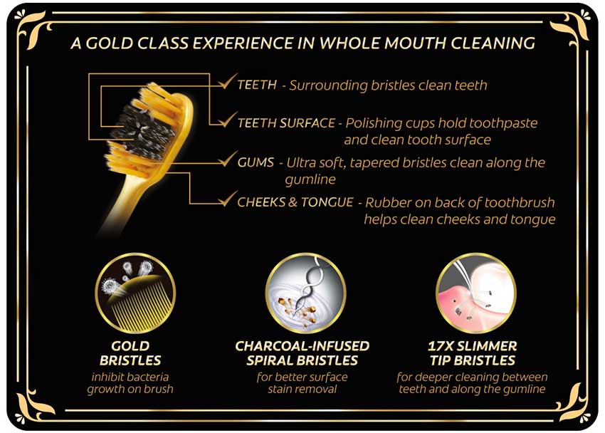 Colgate-360-Charcoal-Gold-Toothbrush-buy