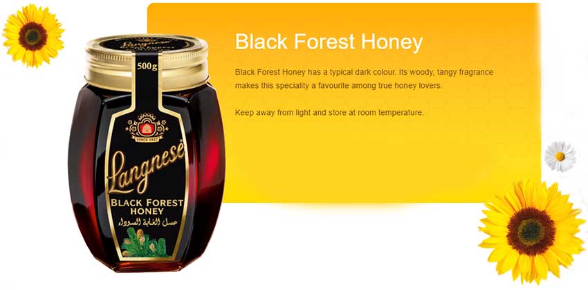Langnese-Black-Forest-Honey-1.jpgbd.jpg?