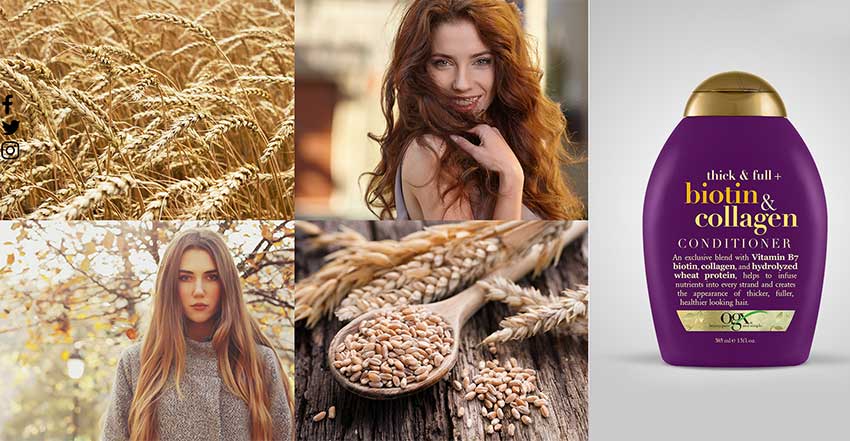 OGX-Thick-Full-Biotin-Collagen-Conditioner.jpg?1605950887100