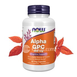Now Alpha GPC 300mg 60 Capsules