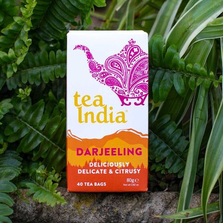 Tea India Darjeeling