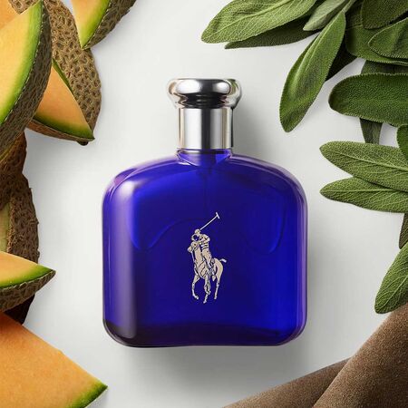 Polo Ralph Lauren Blue Eau De Toilette for Men Polo Ralph Lauren Blue Eau De Toilette for Men
