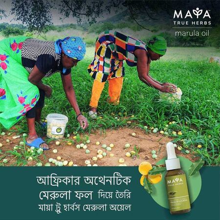 Maya True Herbs Marula Oil