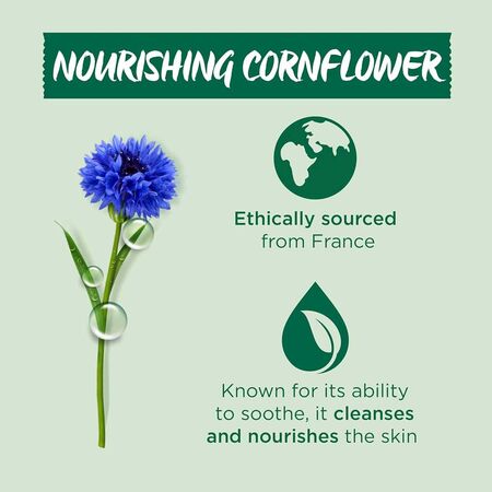 Garnier Delicate Cornflower Micellar Water