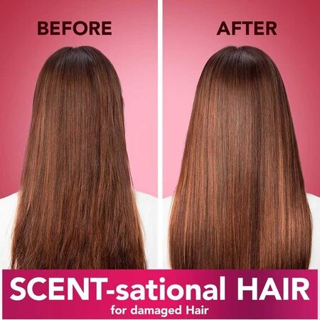 Herbal Essences  Shampoo Herbal Essences  Shampoo