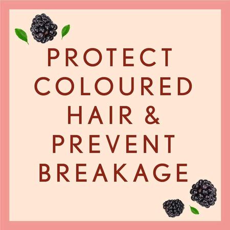 Aveeno Scalp Soothing Haircare Colour Protect+ Shampoo