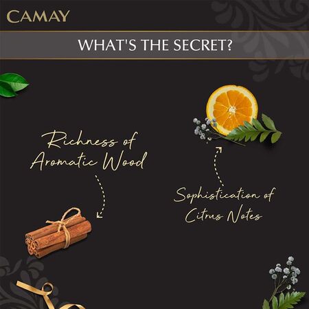 Camay Chic Fragrance Beauty Bar