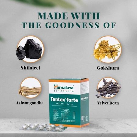 Himalaya Tentex Forte Tablets Ingredients