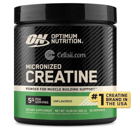 Optimum Nutrition Micronized Creatine Powder 300g