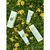 Leaves Natural Aloe Vera Soothing Cleansing Foam 150ml Leaves Natural Aloe Vera Soothing Cleansing Foam 150ml
